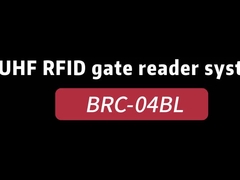 BRC-04BL 골조 UHF RFID 포털 독자 / RFID 게이츠 접근 제어 시스템